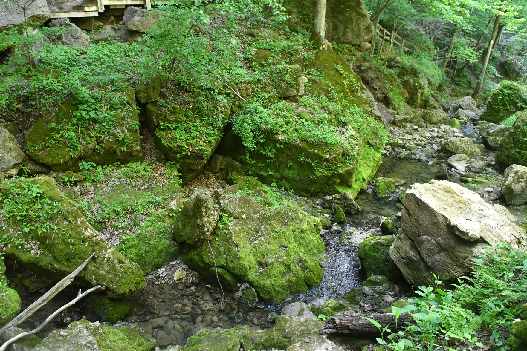 051321-qc-nws-maquoketacaves-138